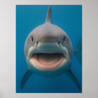 Amusant sans dents grand requin blanc peint art