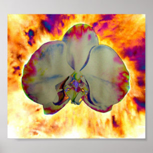Poster Amusante abstraite orchidée surréelle à fleurs tro