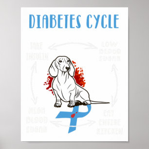 Poster Amusants Dachshund Diabétique Cycle de vie Diabète