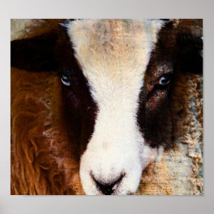 Poster Amy L'Ewe