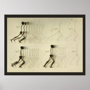 Poster Analyse de la démarche à pied Chiropratique de la