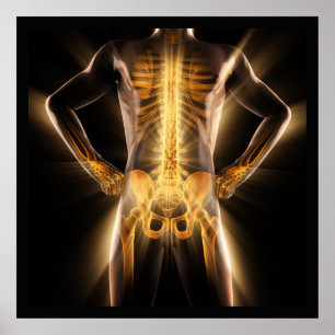 Poster Analyse radiologique Médicale brillante Os humains