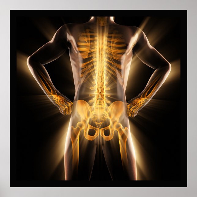 Poster Analyse radiologique Médicale brillante Os humains (Devant)