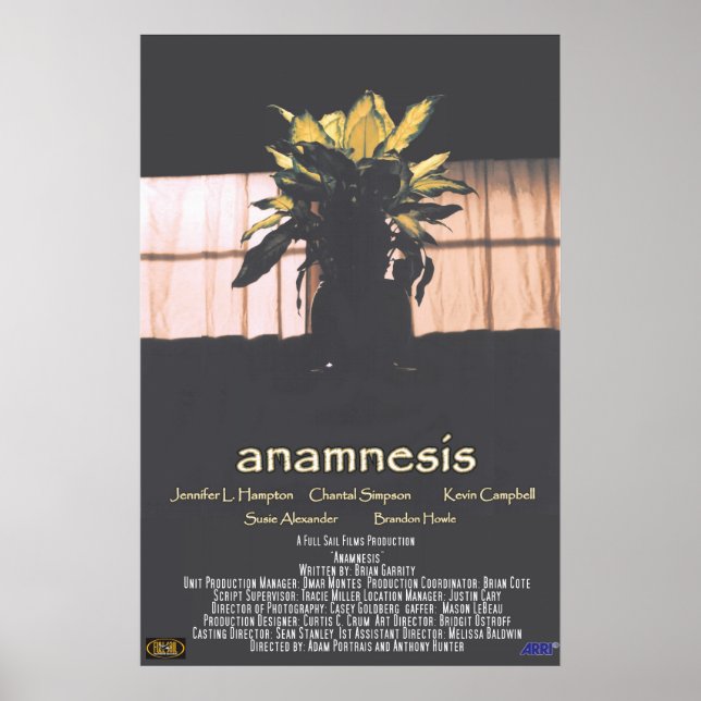 Poster Anamnésie (Devant)