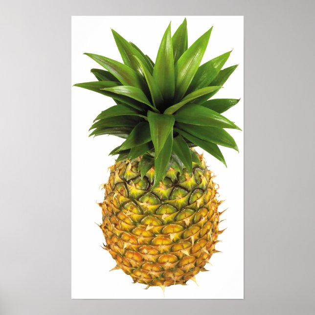 Poster Ananas (Devant)