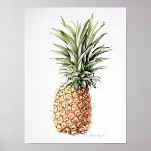 Poster Ananas 1997