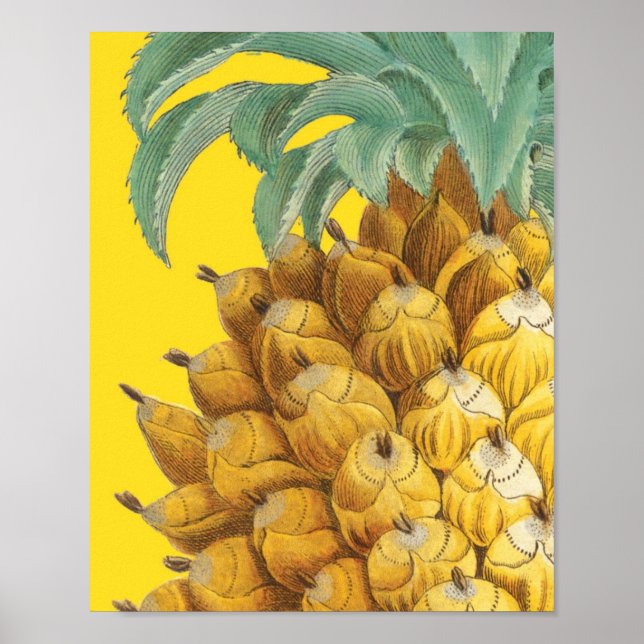 Poster Ananas botanique en jaune (Devant)