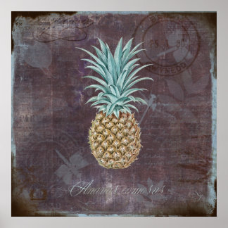 Poster Ananas comosus