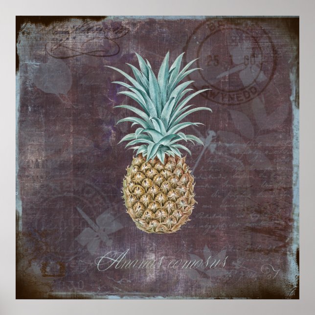 Poster Ananas comosus (Devant)