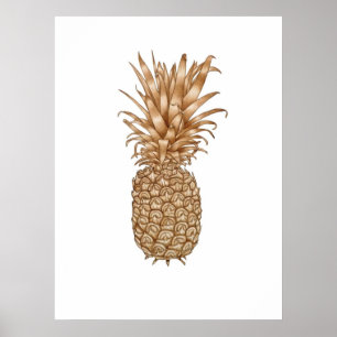Poster Ananas Espresso