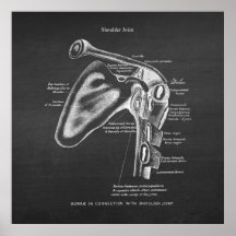 Anatomie Art no 1 Joint à épaule