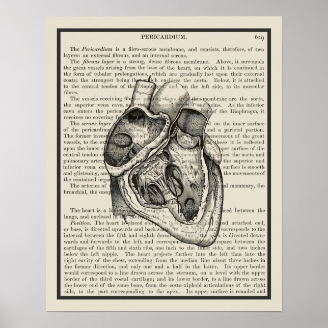 Poster Anatomie cardiaque Art livre Imprimer #2 (Devant)