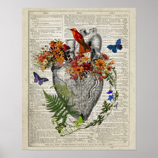 Poster Anatomie cardiaque avec fleurs Papillons Colibri (Devant)
