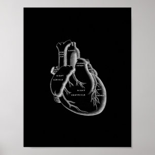Poster Anatomie cardiaque humaine en noir et blanc