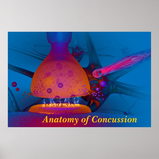 Poster Anatomie de la commotion (Devant)