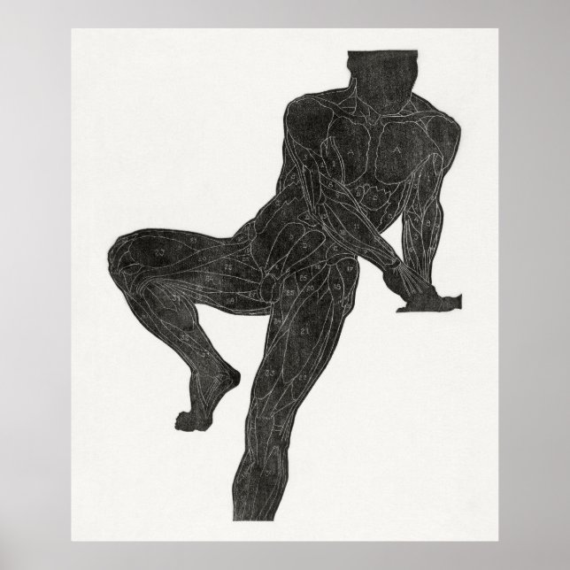 Poster Anatomie de l'homme 2 (Devant)