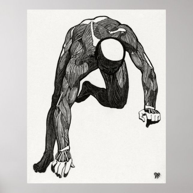 Poster Anatomie de l'homme 6 (Devant)