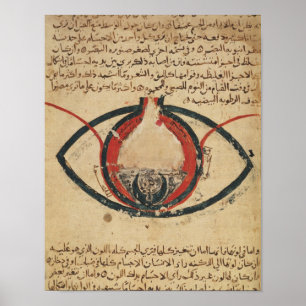 Poster Anatomie de l'oeil, d'un livre sur des maladies