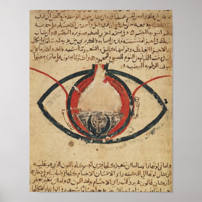 Poster Anatomie de l'oeil, d'un livre sur les maladies oc (Devant)