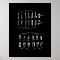 Anatomie des dents en noir et blanc.