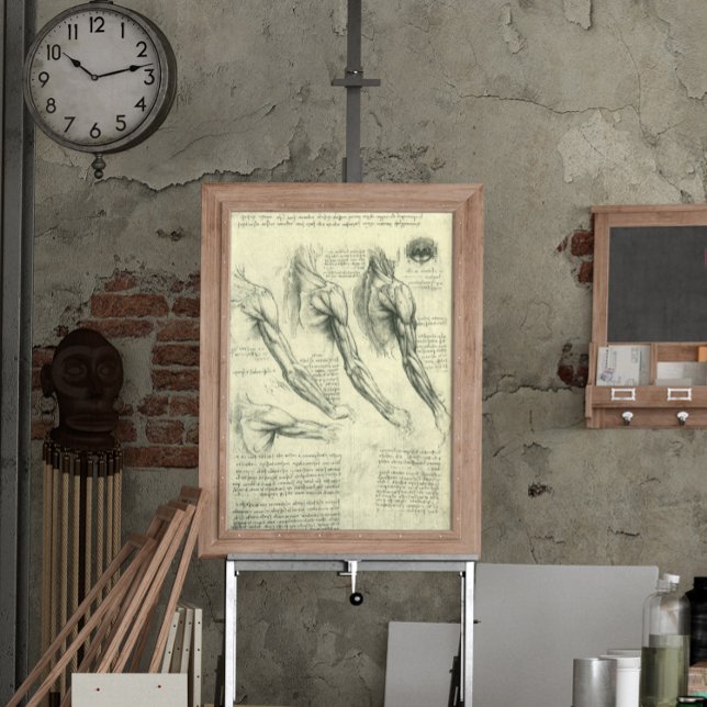 Poster Anatomie du bras et de l'épaule par Léonard de Vin (Créateur téléchargé)