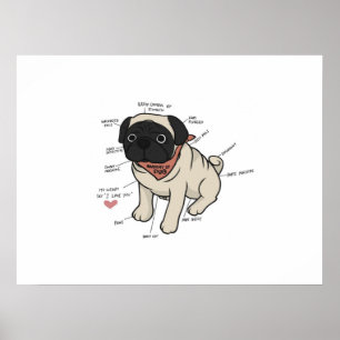Poster Anatomie Du Chien Carlin Graphique