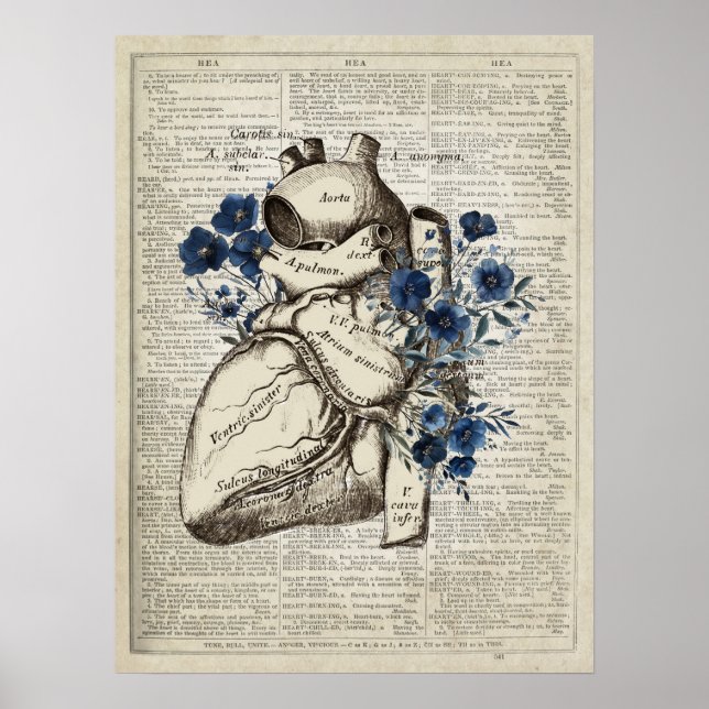 Poster Anatomie du coeur avec fleurs bleues Dictionnaire  (Devant)