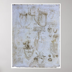 Poster Anatomie du Coeur Humain, Léonard de Vinci