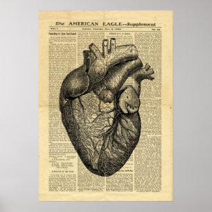 Poster Anatomie du coeur humain sur le journal
