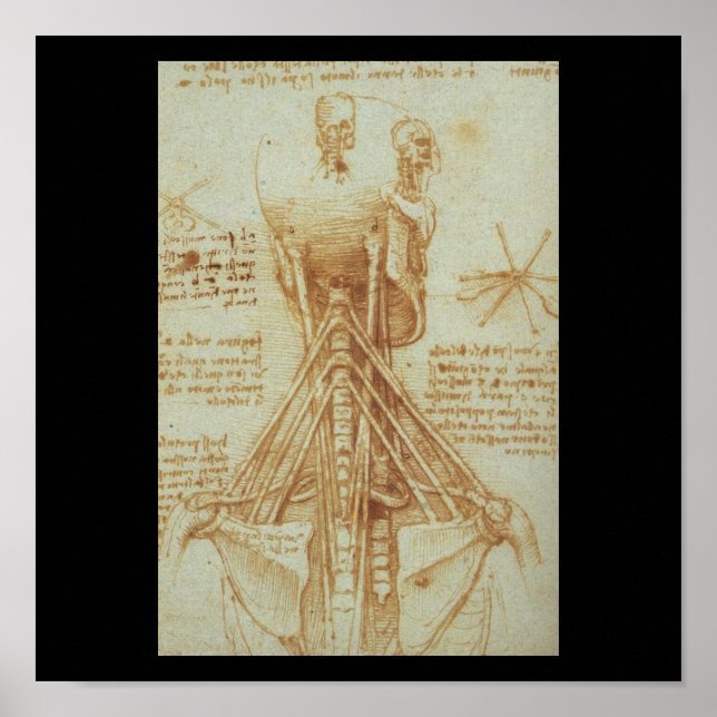 Poster Anatomie du cou par Léonard de Vinci c. 1515 (Devant)