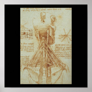 Poster Anatomie du cou par Leonardo da Vinci C. 1515