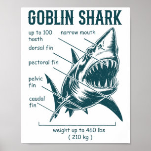 Poster Anatomie du requin gobelin biologiste marin requin