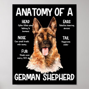 Poster Anatomie D'Un Berger Allemand Pour Les Amoureux de