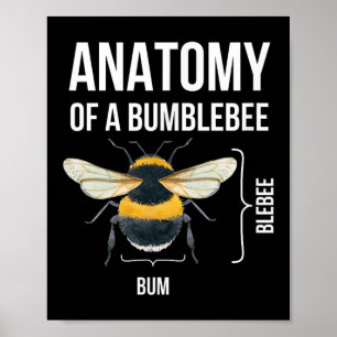 Poster Anatomie D'Un Bumblebee Drôle Humour Sarcastique C
