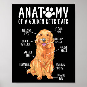 Poster Anatomie d'un Golden Retriever Papa maman