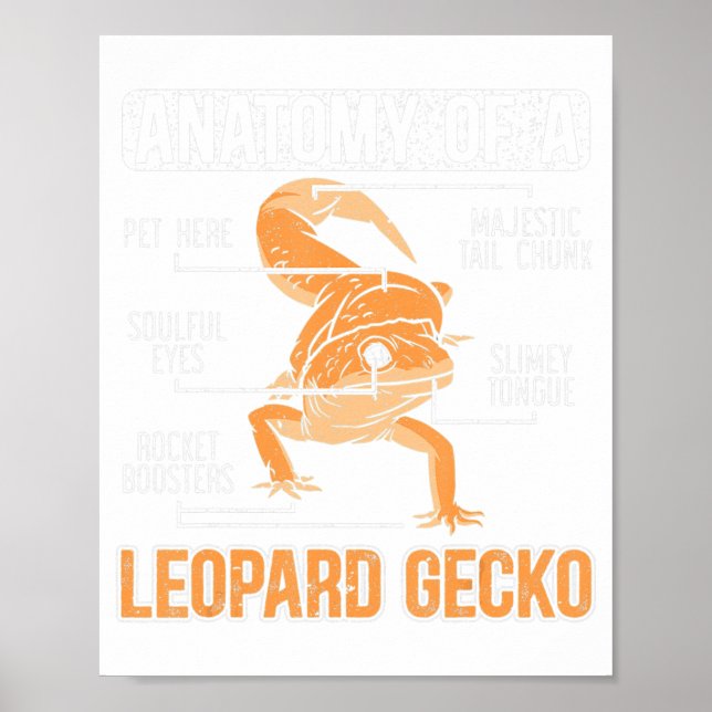 Poster Anatomie D'Un Léopard Gecko Lover Lizard Animal Re (Devant)
