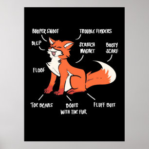 Poster Anatomie D'Un Renard