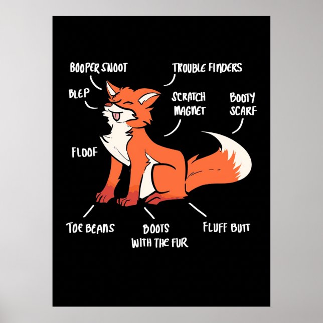 Poster Anatomie D'Un Renard (Devant)