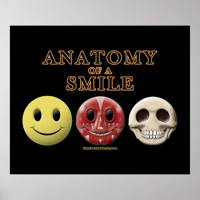 Poster Anatomie d'un sourire (Devant)