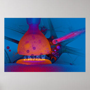 Poster Anatomie d'une commotion
