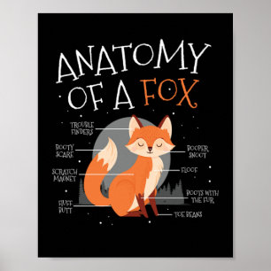 Poster Anatomie D'Une Forêt De Fox Mmite Fox Animal