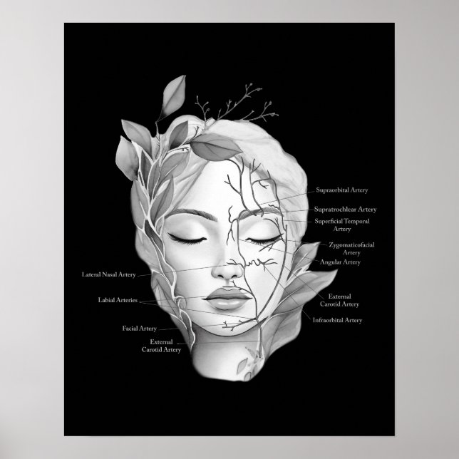 Poster Anatomie faciale montrant des vaisseaux sanguins (Devant)