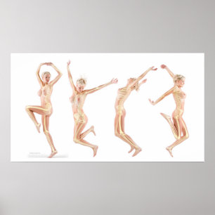 Poster Anatomie féminine