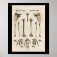 Anatomie humaine vintage Imprimer les os à main