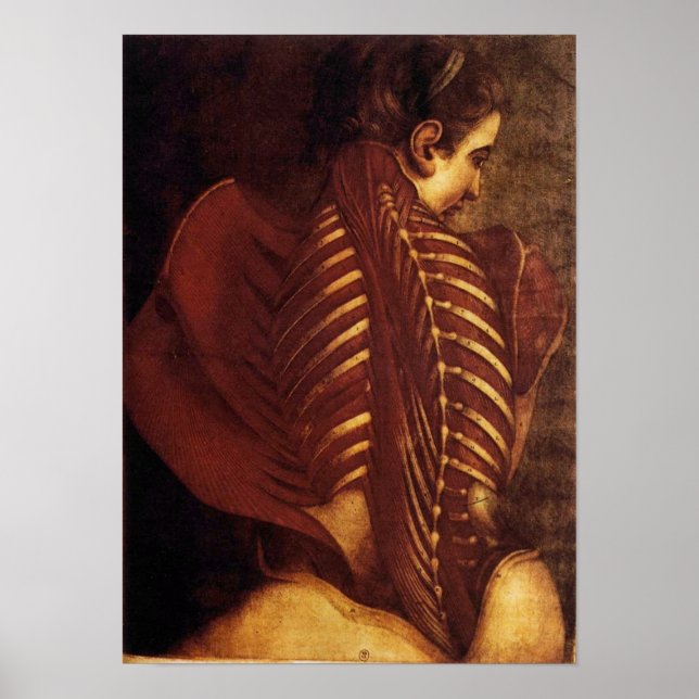 Poster Anatomie/Squelette de l'affiche arrière féminine (Devant)