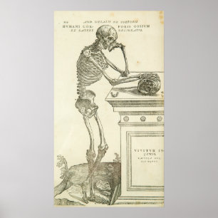 Poster Anatomie vintage Andreas Vesalius Skeleton