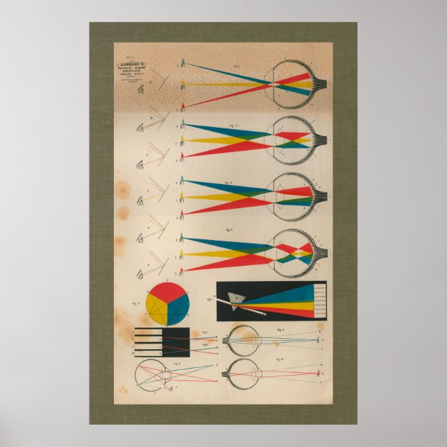 Poster Anatomie visuelle Vintage de 1851 (Devant)