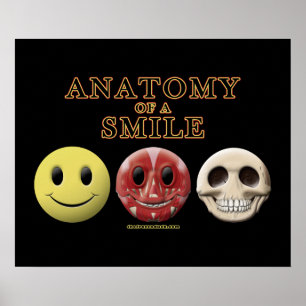 Poster Anatomy of a Smile
