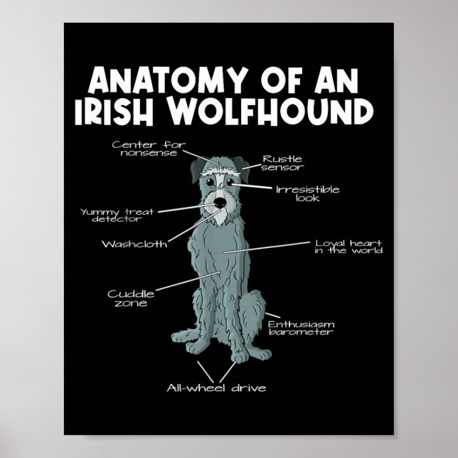 Poster Anatomy Of An Irish Wolfhound  (Devant)
