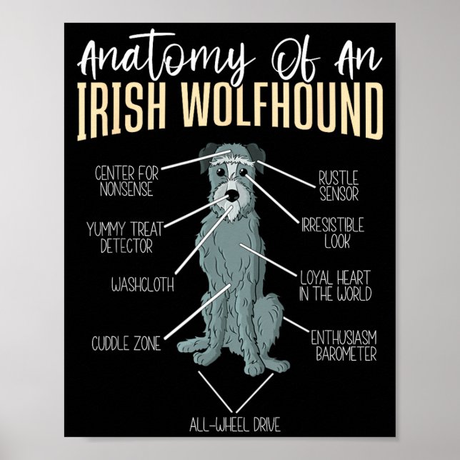 Poster Anatomy Of An Irish Wolfhound  (Devant)